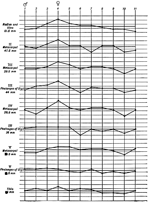 Fig 13.