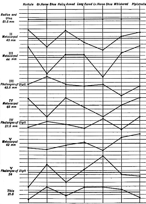 Fig. 17