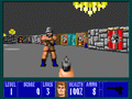 Wolfenstein 3D