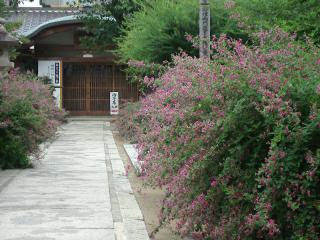 輪行写真