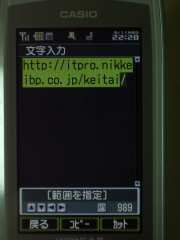 W21CAII写真
