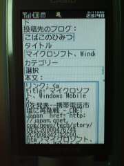 W21CAII写真