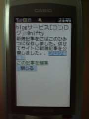 W21CAII写真
