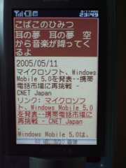 W21CAII写真