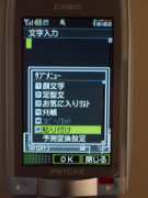 W21CAII写真